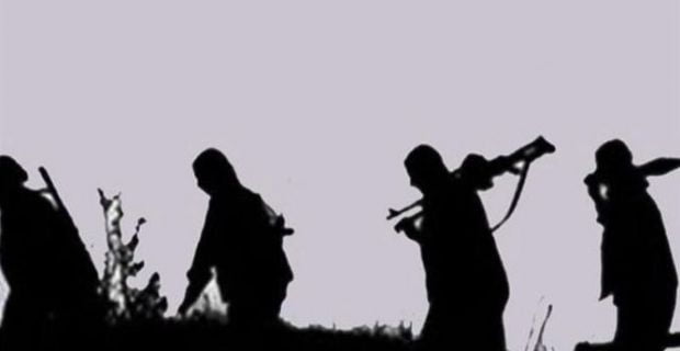 Türk Silahlı Kuvvetleri (TSK), Zeytin Dalı Harekatı’nın başlangıcından itibaren etkisiz