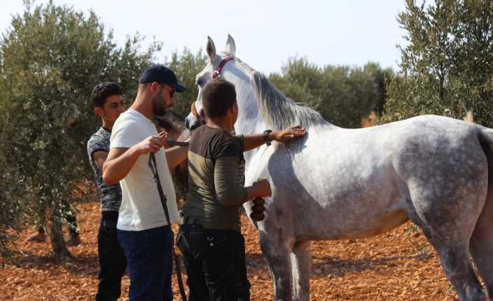 Türk Silahlı Kuvvetlerinin (TSK) terörden temizlediği Suriye’nin El Bab kentinde