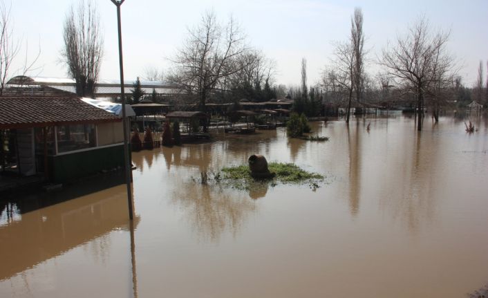 Edirne’de yüzlerce tarım arazisini sular altında bırakan Tunca ve Meriç