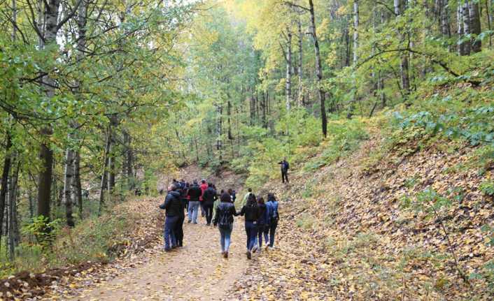 Tunceli’de sonbahar mevsimindeki renk cümbüşü adeta görsel bir şölen sundu.