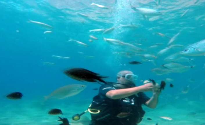 Türkiye’nin önemli dalış merkezleri arasında yer alan Kemer’de turistler dalış