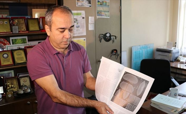 AİBÜ Fen Edebiyat Fakültesi Biyoloji Bölümü Öğretim Üyesi Prof. Dr.