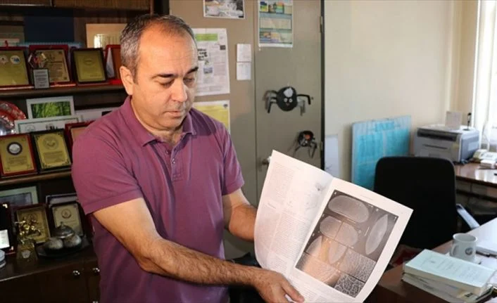 Türk profesör, Teksas’ta yeni ostrakod türleri keşfetti