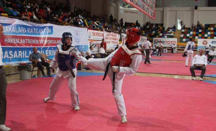 Türkiye Taekwondo Federasyonu Başkanlığı tarafından Çankırı’nın ev sahipliğinde düzenlenen "15