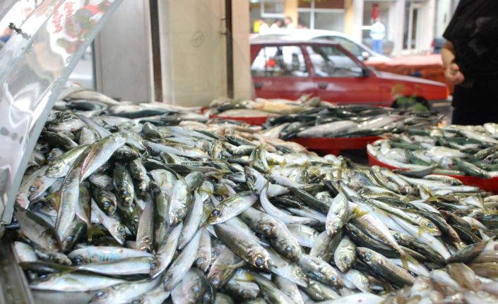 Türkiye’deki balık tüketiminin dünyanın ve Avrupa’nın gerisinde olduğu ortaya çıktı.