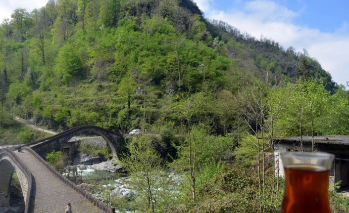2017 yılında Türkiye’nin havası en temiz olan ilinin Artvin olduğu