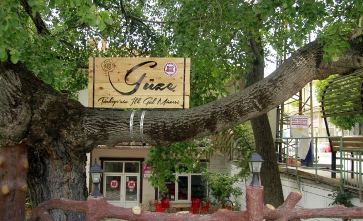 Isparta Güneykent’te her geçen gün ivme kazanan gül turizmiyle birlikte