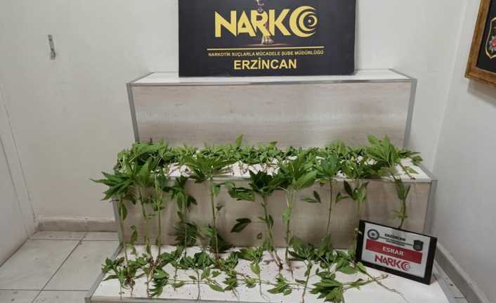 Uyuşturucu Suçları ile etkin mücadele kararlılıkla devam ediyor.