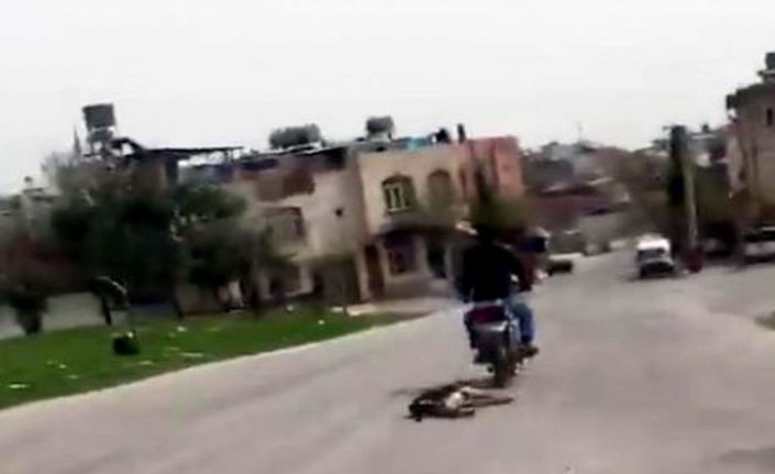 Kilis’te bir kişi motosikletin arkasına bağladığı köpeği yüzlerce metre koşturdu.