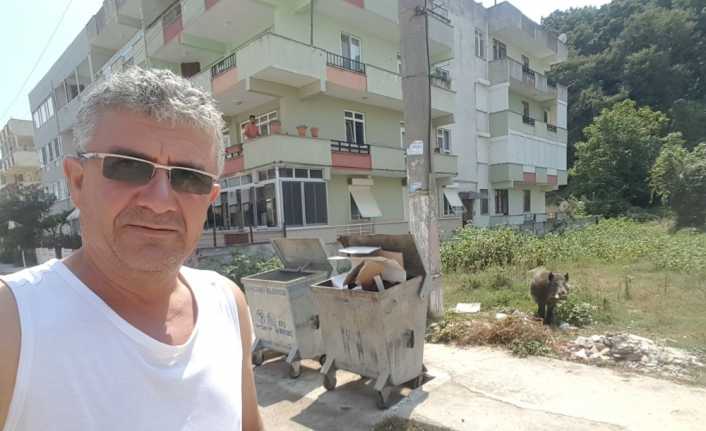 Bursa’nın Karacabey ilçesine bağlı tatil beldesi Yeniköy’de vatandaşlar, belde merkezine