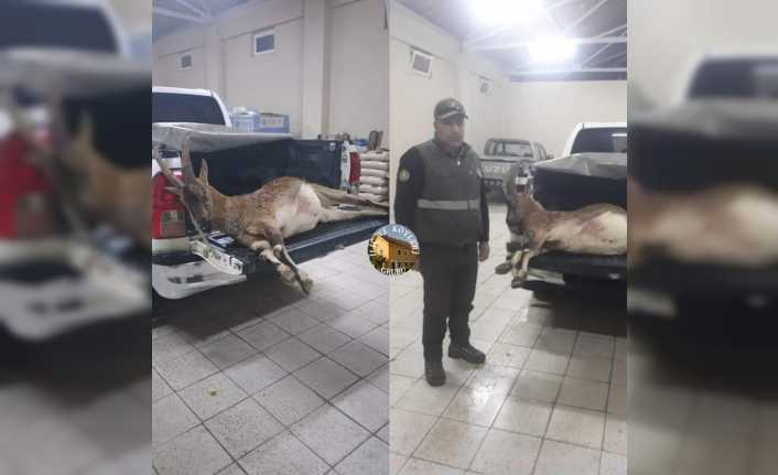 Erzincan'da avlanması yasak olan yaban keçisini vuran 2 kaçak avcıya