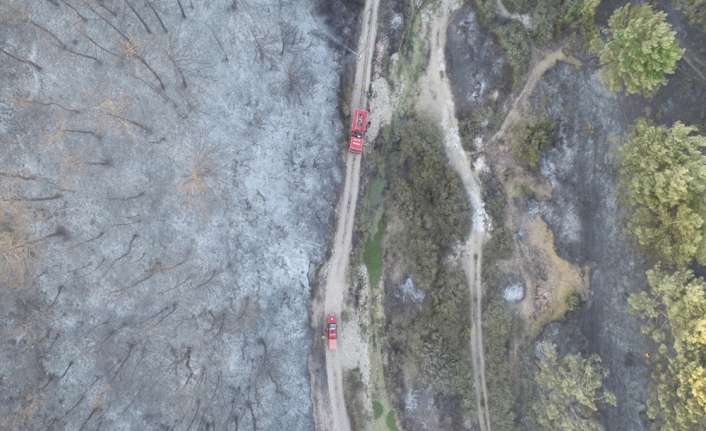 İzmir’in Buca ilçesindeki ormanlık alanda başlayan ve 25 hektarlık alanda