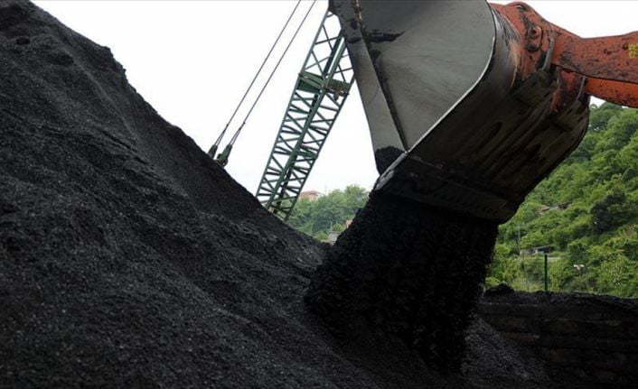 Enerji ve Tabii Kaynaklar Bakanlığı Müsteşar Yardımcısı Zafer Benli, yerli