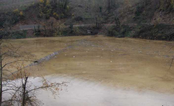 Son yıllarda Doğu Karadeniz