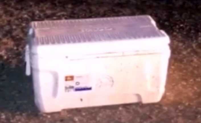 Meksika’nın Sonara eyaletinin Ciudat Obregon şehrinde yol kenarına bırakılmış soğutucudan