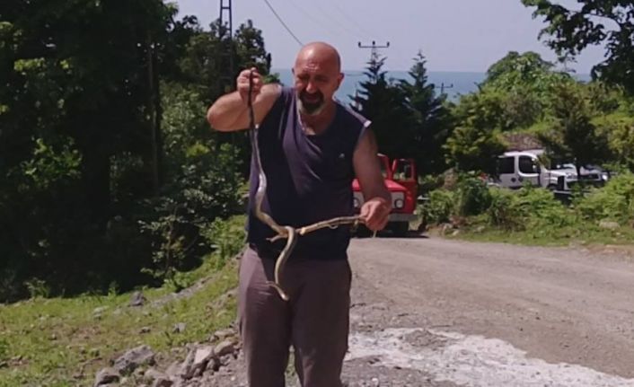 Artvin’in Borçka ilçesinde Nejdet Arda isimli vatandaş, kamyoneti ile yolda