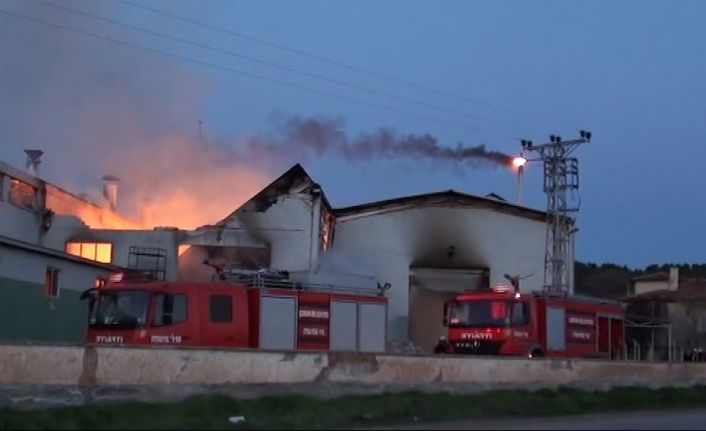 Çorum’da yumurta viyolü üretimi yapan bir fabrikada yangın çıktı. 
