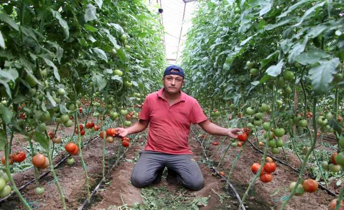Uzun zamandır pazar tezgahlarında ve marketlerde pahalılığından dolayı sıkça adından