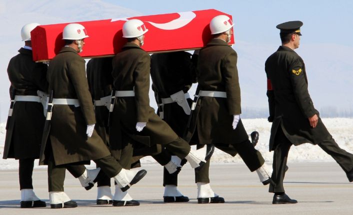 Türk Silahlı Kuvvetleri (TSK), Zeytin Dalı Harekatı kapsamında Afrin bölgesinde