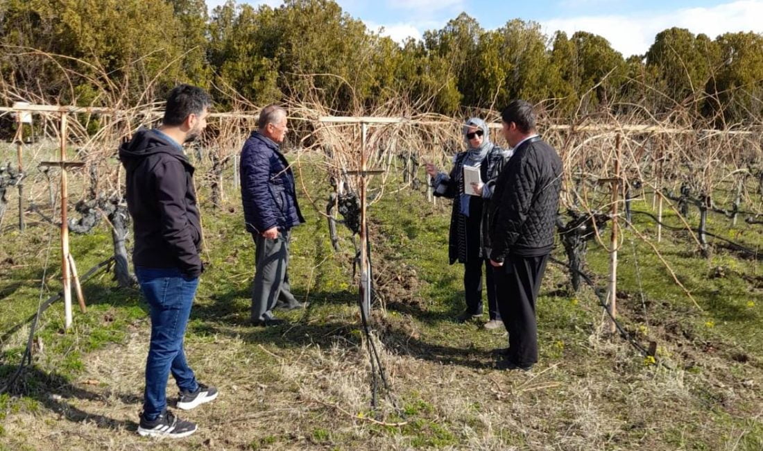 Erzincan Bahçe Kültürleri Araştırma Enstitüsü eğitim almak isteyen çiftçilere uygulamalı