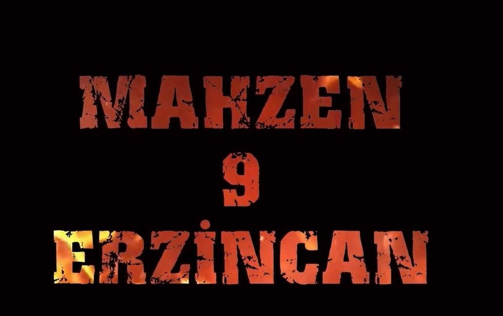 Koç organize suç örgütüne yönelik düzenlenen operasyonda gözaltına alınan 9