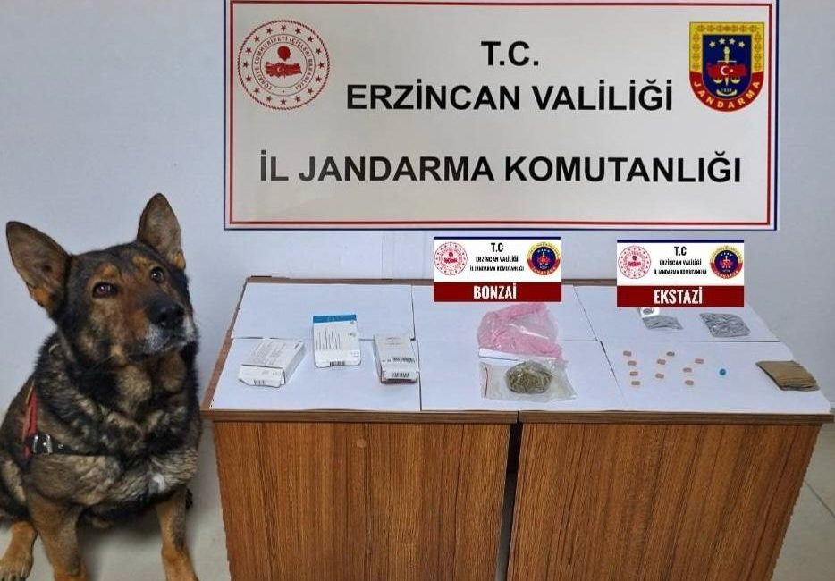 Erzincan İl Jandarma Komutanlığınca,