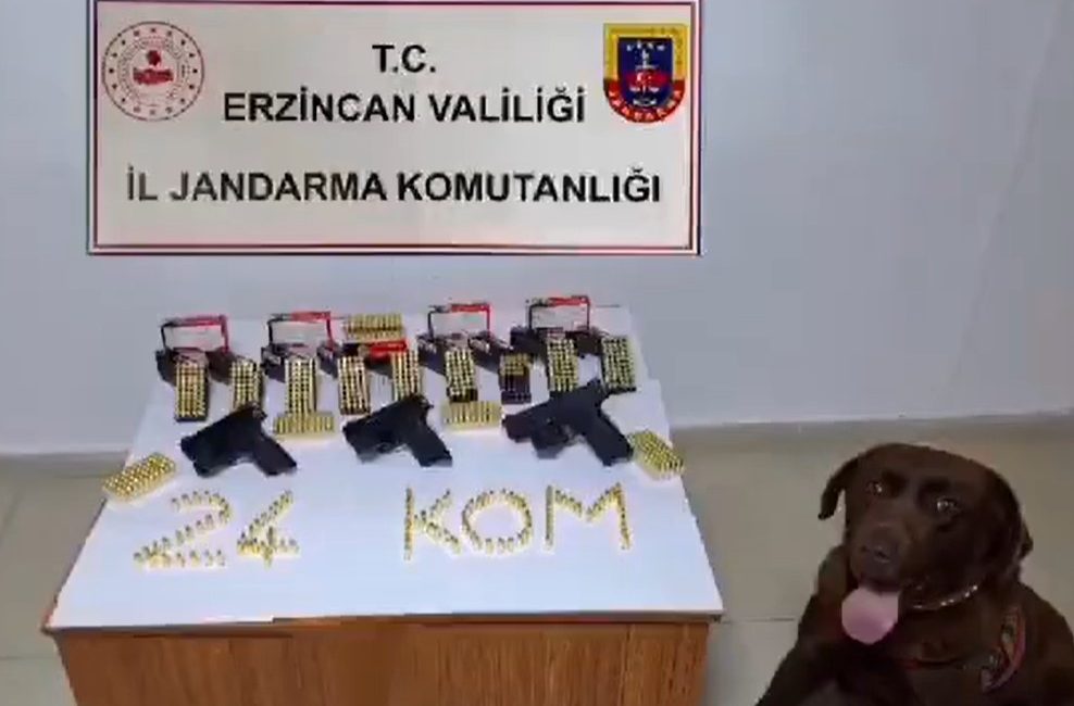 Erzincan’da Silah Kaçakçısı 1