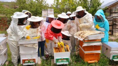 Erzincan’da “Kadın Eli İle Arı Sütü” eğitimi sona erdi. Bir