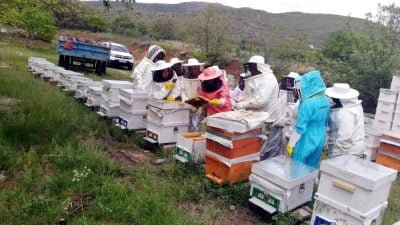 “Kadın Eli İle Arı Sütü” Projesine katılım sağlayan 16 kadın