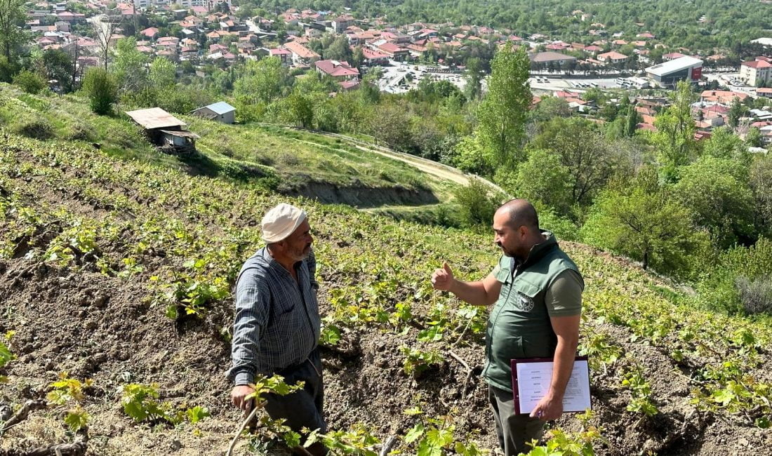 Erzincan’da tarım sezonunun başlamasıyla birlikte Üzümlü ilçesi ve köylerinde çiftçiler