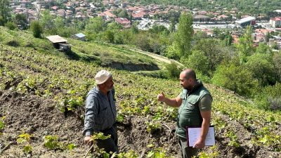 Erzincan’da tarım sezonunun başlamasıyla birlikte Üzümlü ilçesi ve köylerinde çiftçiler