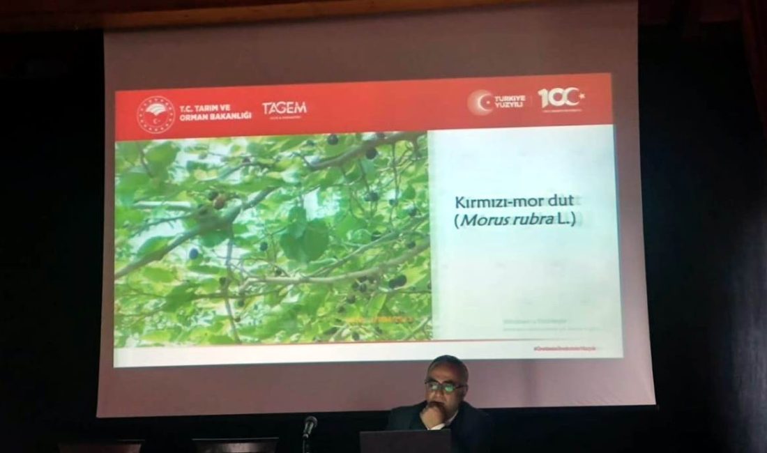 Erzincan Tarım ve Orman İl Müdürlüğü ile Erzincan Bahçe Kültürleri