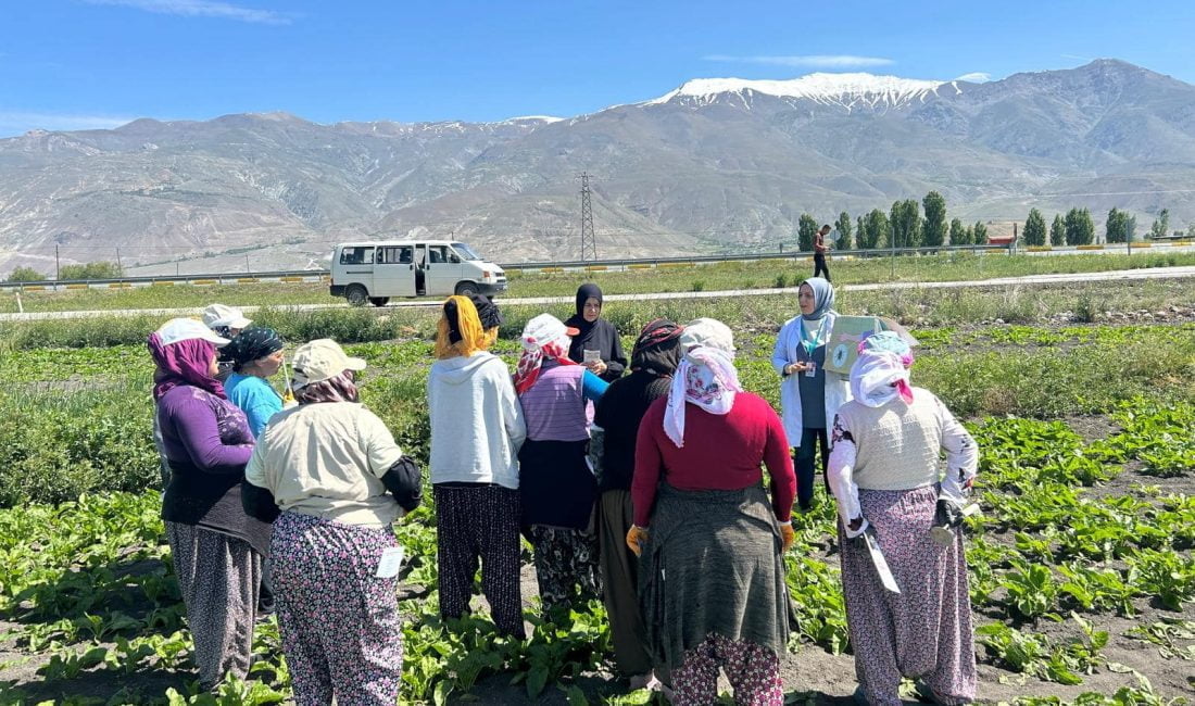 Kırım Kongo Kanamalı Ateşi hastalığı hakkında bilgilendirme çalışmaları yapılıyor.