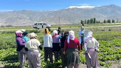 Kırım Kongo Kanamalı Ateşi hastalığı hakkında bilgilendirme çalışmaları yapılıyor.