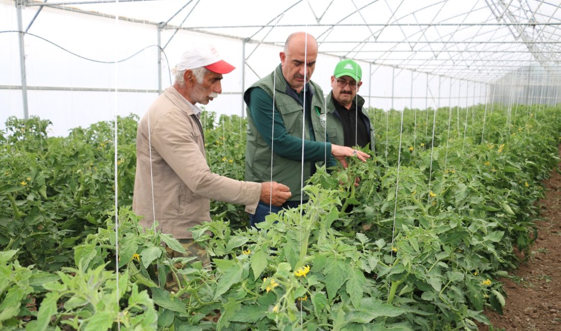Erzincan Tarım ve Orman İl Müdürlüğü Bitkisel Üretim ve Bitki