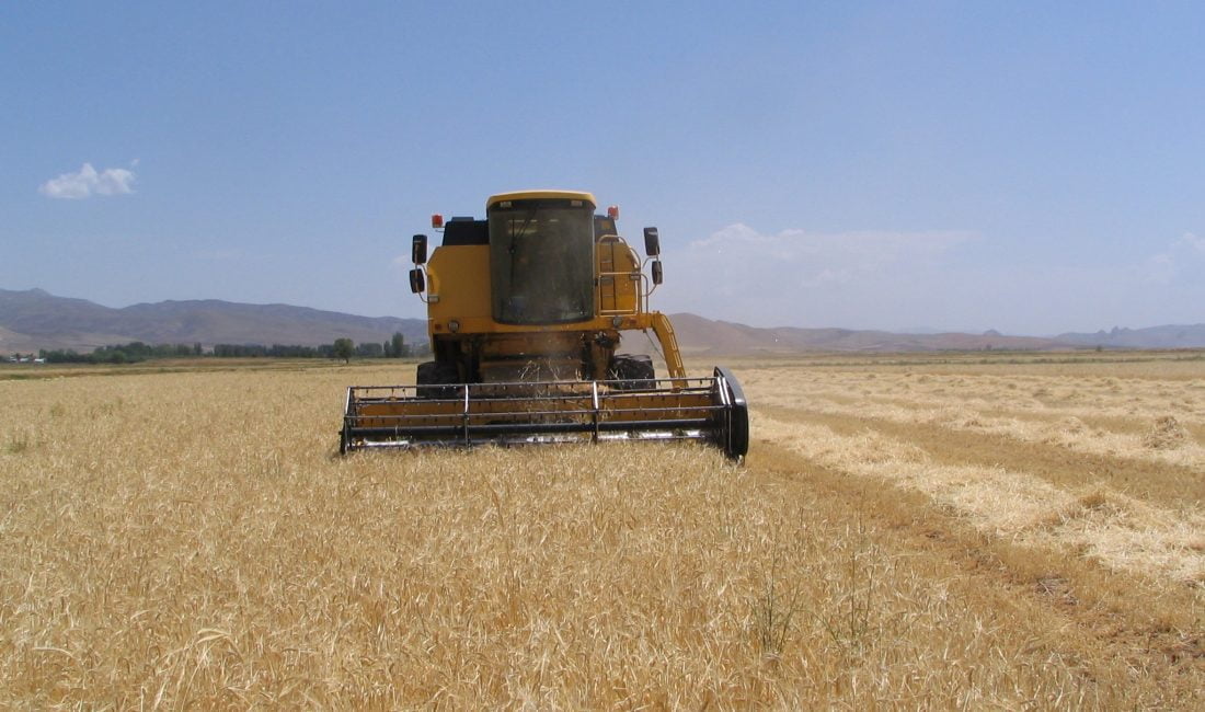 Hububatta yaşanan dane kaybının önenmesi için Erzincan’da da çalışmalar devam