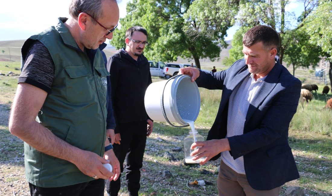 Erzincan’ın tescilli yöresel ürünlerinden Tulum Peynirinde standartlaşma sağlanması noktasında Erzincan