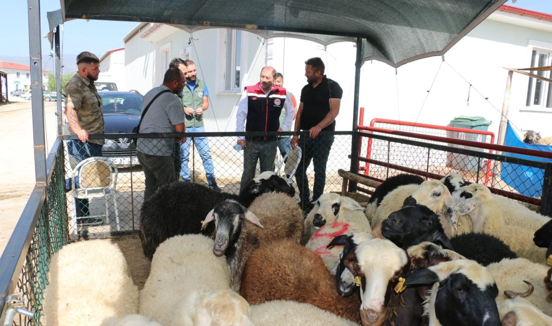 Kurban Bayramına sayılı günler kala Erzincan Hayvan Pazarında hareketlilik sürüyor.