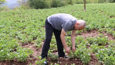 Erzincan’da son günlerde yaşanan aşırı yağışların ardından ekipler çalışmalarını sürdürüyor.
