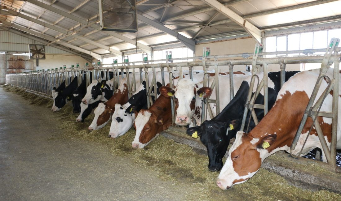 Erzincan’da bin bir emekle kurulan işletme her geçen gün büyüyerek