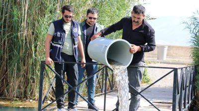 Erzincan’da bulunan baraj ve göletlere 560 bin adet balık yavrusu