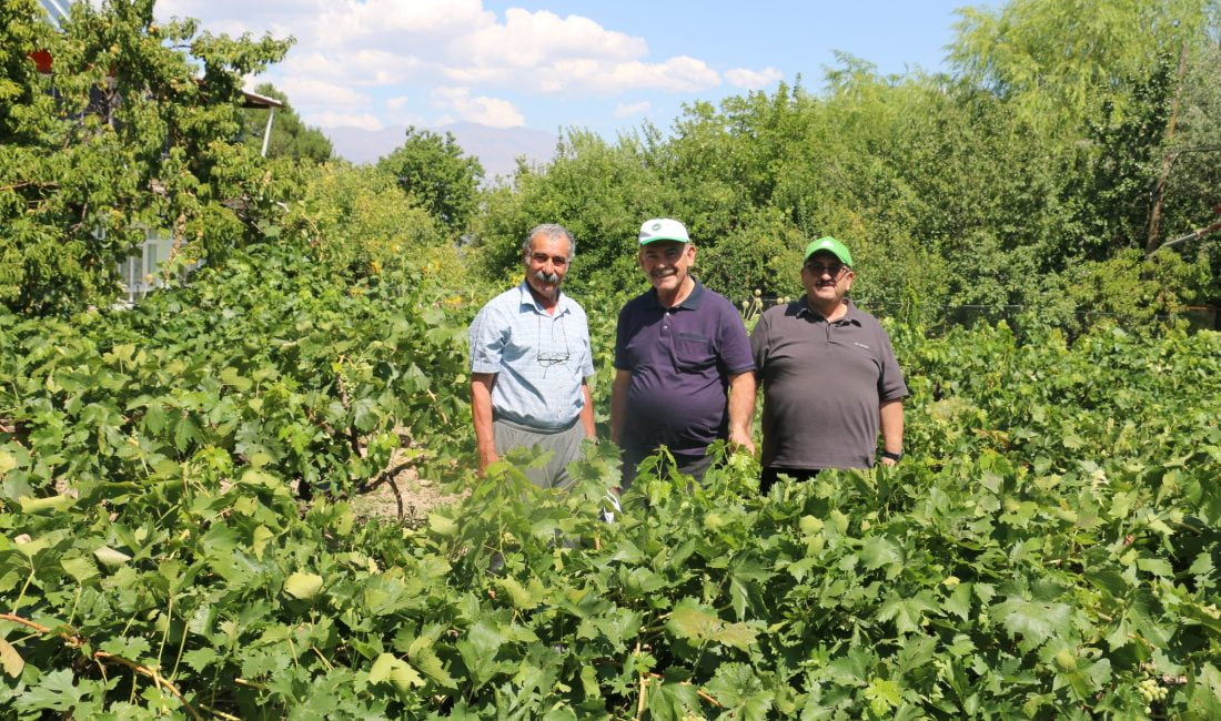 Erzincan tarım sektörü, renkli görüntülere sahne oluyor