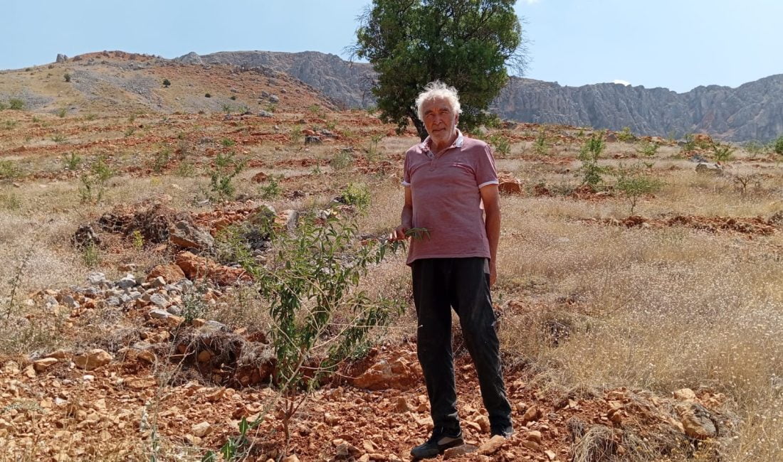 Erzincan’ın Kemaliye ilçesinde yaşayan Öğretmen Mustafa Özer, yaptıklarıyla ayakta alkışlanmayı