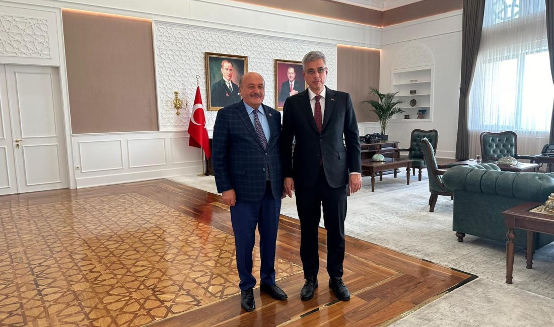 Erzincan'da yakın zamanda açılması planlanan şehir hastanesi ile ilgili detaylar