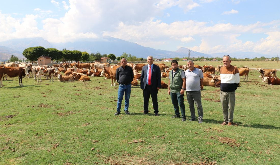 Erzincan’da uygulanan mera ıslah ve amenajman projeleri incelendi.