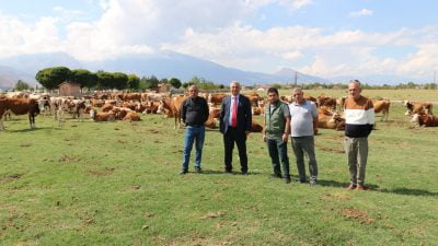 Erzincan’da uygulanan mera ıslah ve amenajman projeleri incelendi.