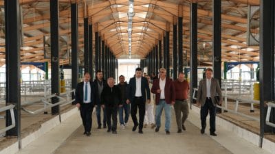 Erzincan tarım sektöründe gerek bitkisel gerekse hayvansal üretime yönelik olarak