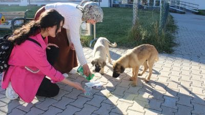 Mengücek Gazi Yurdu'nda Hayvanları Koruma Günü Etkinliği