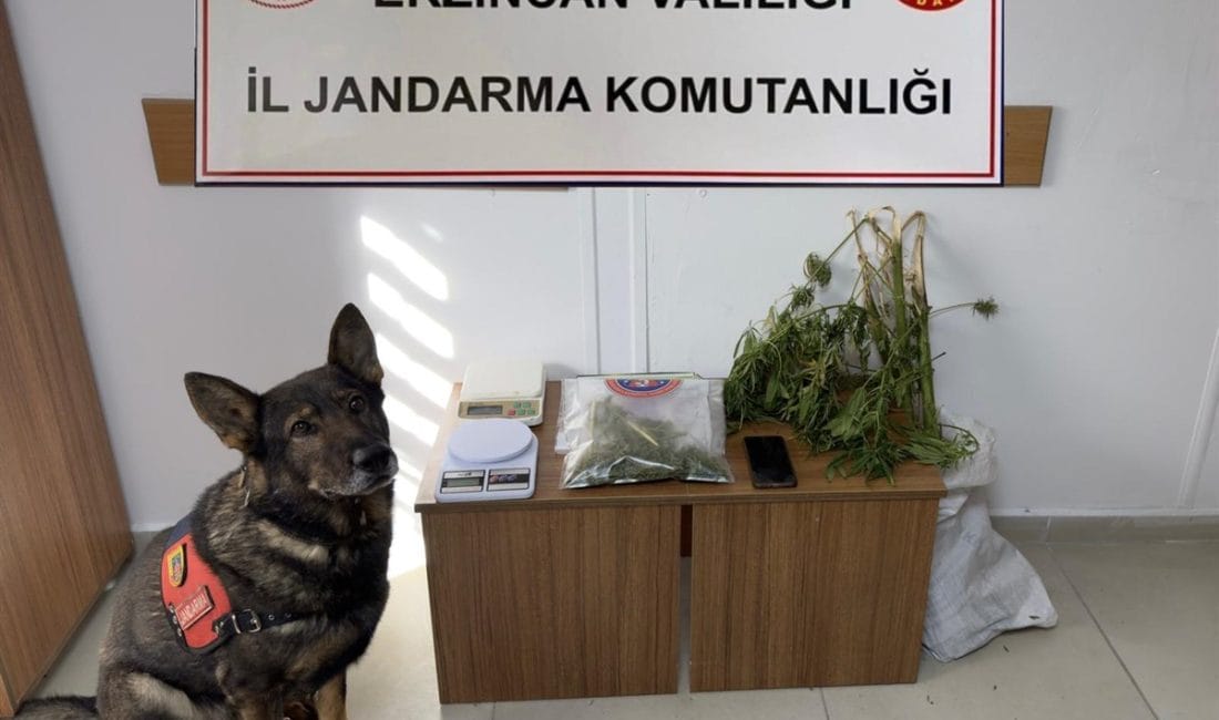 Erzincan İl Jandarma Komutanlığı, Eylül 2024 ayında gerçekleştirdiği asayiş, trafik,
