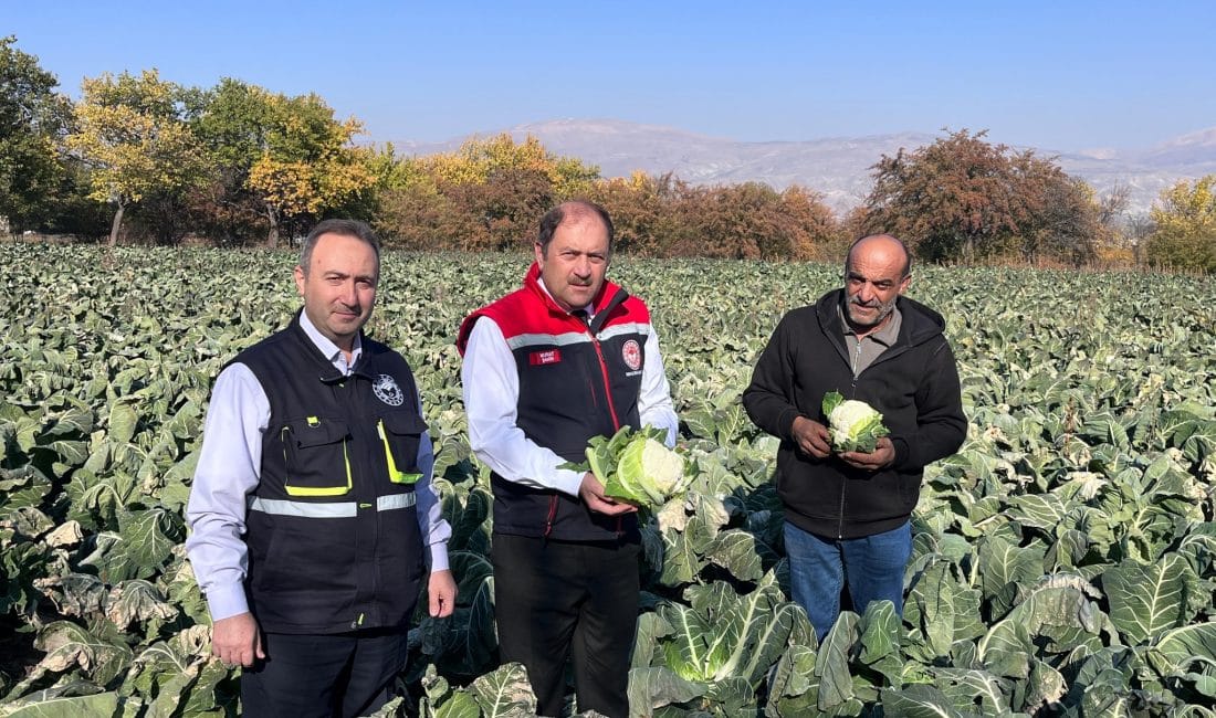 Yaz sezonunun sona ermesinin ardından kışlık sebzeler pazarlarda ve manavlarda